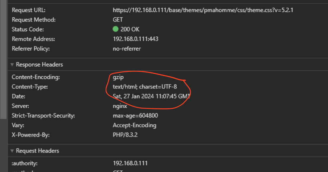 На клиенте не применяются CSS стили, в то время, как они загружены с сервера? На клиенте не применяются CSS стили, в то время, как они загружены с сервера?