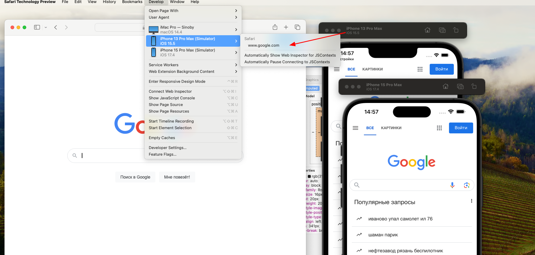 Почему Web Inspector в safari technology и эмулятор IOS 17 не работает? Почему Web Inspector в safari technology и эмулятор IOS 17 не работает?